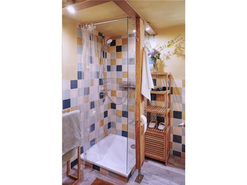 une salle de bain avec douche et baignoire dans l'établissement Apartment Rhön-Vagabund, à Schönau an der Brend