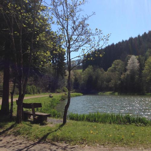 a park bench sitting next to a lake at Fewo Vulkaneifel in Tettscheid