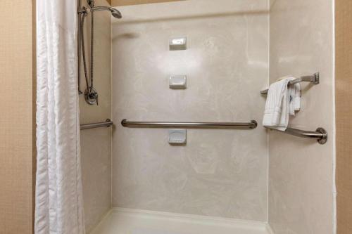 ダラスにあるComfort Inn DFW Airport Northのバスルーム(ガラスドア付きのシャワー付)