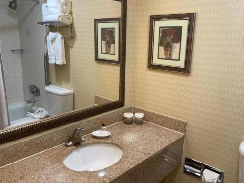 Radisson Hotel Austin - Universityにあるバスルーム