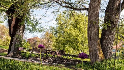 a park with two benches and purple flowers at Niedermairhof in Brunico
