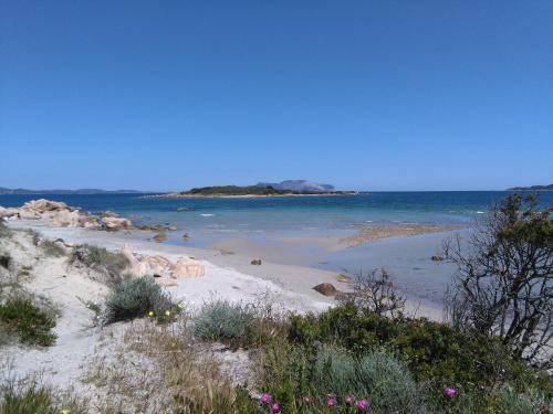 a beach with pink flowers and the ocean at Casa Marina Maria in Murta Maria