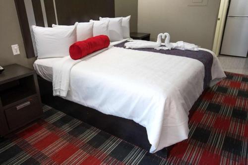 a red pillow on a bed in a hotel room at Americas Best Value Inn and Suites IAH Airport North in Houston