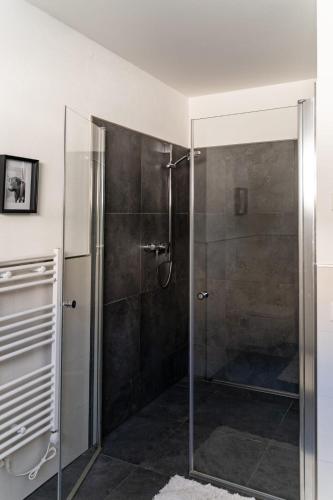 a shower with a glass door in a bathroom at Hideaway Lounge Sure in Echternacherbrück