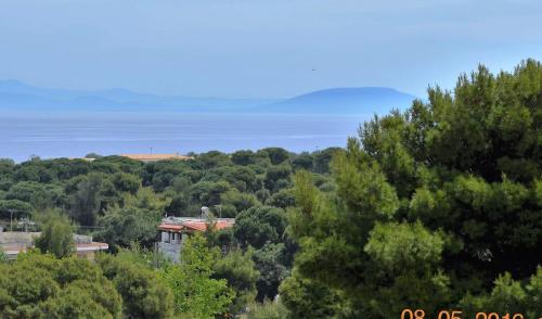 a house in the middle of a forest of trees at Apartments Zoumperi in Nea Makri