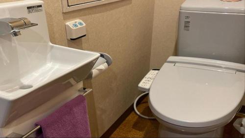 a bathroom with a white toilet and a sink at Hotel Miyama in Chichibu
