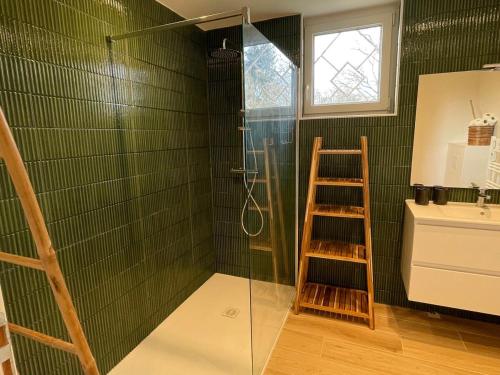 une salle de bain verte avec une douche et une échelle dans l'établissement Le 102 - Cozy, quiet one-story house in Mées, à Mées