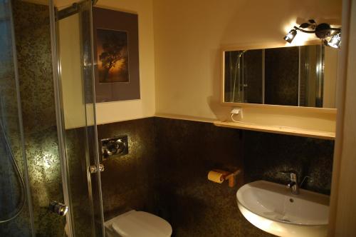 a bathroom with a shower and a toilet and a sink at Przystanek Rospuda in Sucha Wieś