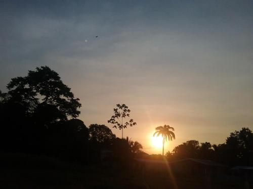 zachód słońca z dwoma palmami na pierwszym planie w obiekcie Kalunai Hostel w mieście Puerto Viejo