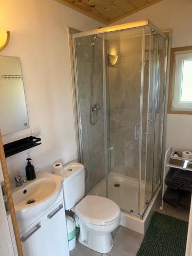 a bathroom with a shower and a toilet and a sink at Domki Letniskowe Kosewo in Kosewo