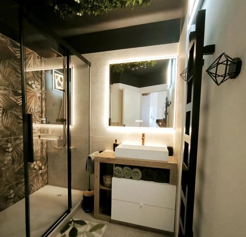 une salle de bain avec un lavabo, un miroir et une douche dans l'établissement Le Flamant Rose de Lilo'Salins, à Hyères