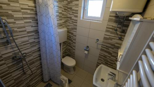 a small bathroom with a toilet and a sink at Imanje Borkonjić in Ruma