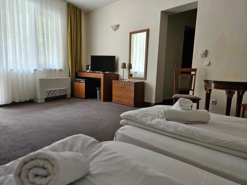 a hotel room with two beds and a television at Hotel Saint Nedelya in Kolarovo