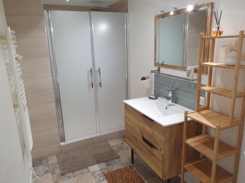 a bathroom with a shower and a sink at Spacieux et charmant T3 entre campagne et montagne in Jarrie