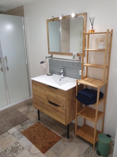 a bathroom with a sink and a mirror at Spacieux et charmant T3 entre campagne et montagne in Jarrie