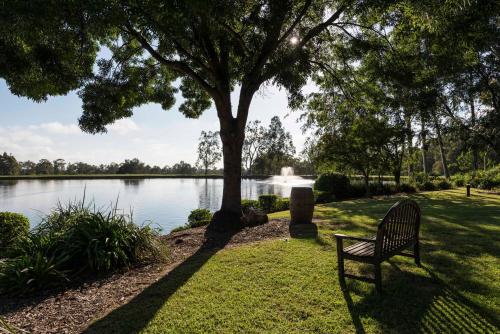 a park bench sitting under a tree next to a lake at Oaks Cypress Lakes Resort in Pokolbin
