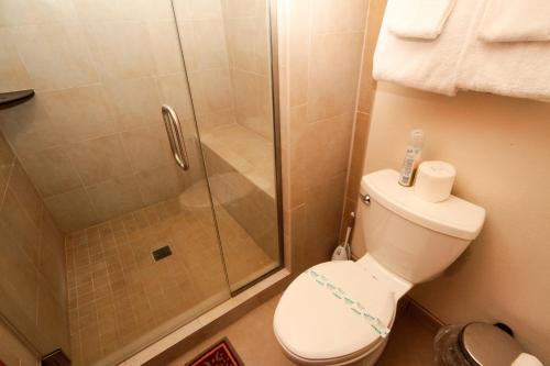 a bathroom with a shower and a toilet and a shower at Mountainback #41, Loft in Mammoth Lakes