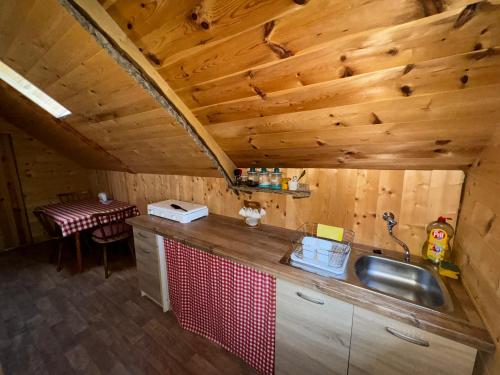 Kuchyň nebo kuchyňský kout v ubytování Mountain Lodge Suška Koča