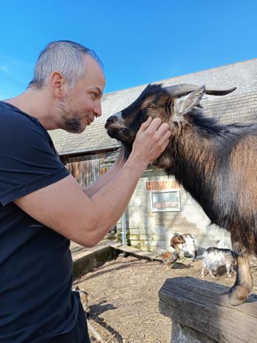 a man is petting a goat on a fence at Die Alm in Schöllbüchl, Privatzimmer in St. Martin