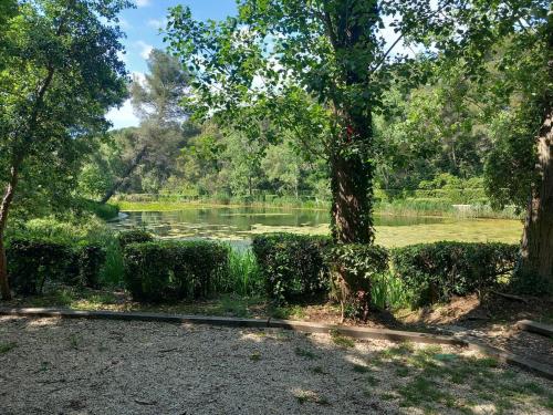 a view of a pond with trees and bushes at Genévriers - T2 - Terrasse - piscine - Parking in Six-Fours-les-Plages