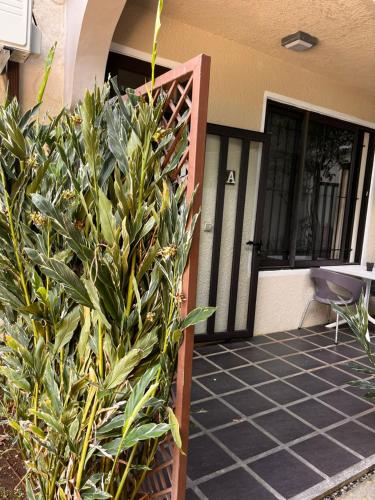 a house with a plant in front of the front door at Joubarbe Residence in Moka