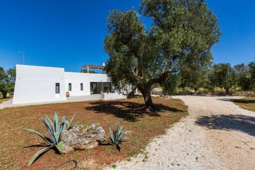 a white house with a tree in front of it at Villa Libe by Perle di Puglia in Specchiolla 