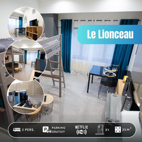 Le Lionceau, Proche ville, Fibre&Netflix, Parking