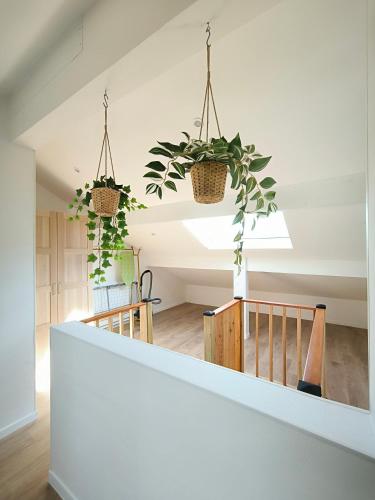 une chambre avec deux plantes en pot suspendues au plafond dans l'établissement Apartement Duplex proche Paris CDG Stade de France Parc Expo Villepinte, au Blanc-Mesnil