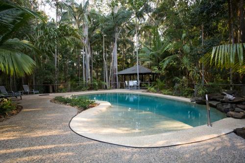 einen Pool inmitten eines Gartens mit Bäumen in der Unterkunft Amore On Buderim Rainforest Cabins in Buderim