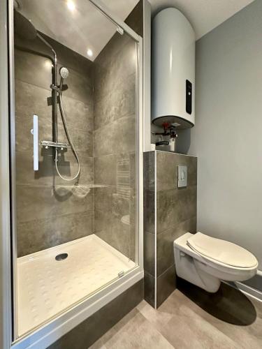une salle de bain avec douche et toilettes dans l'établissement Studio 69 Rénové et Équipé - Nancy CHRU,CESI,FAC, à Vandœuvre-lès-Nancy