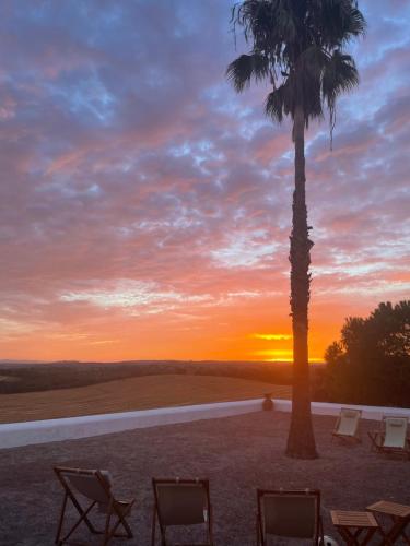 a palm tree and chairs in front of a sunset at Monte de Bordalos in Monte de Bordalos