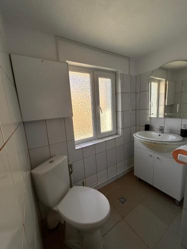 a white bathroom with a toilet and a sink at Casa Mihai in Bîsca Rozilei