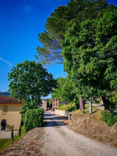 a dirt road with trees on the side of a house at PODERE PIANA in Carseggio