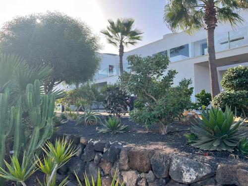 a garden with palm trees and plants in front of a building at La Sal - Apartment in Casilla de Costa in Villaverde