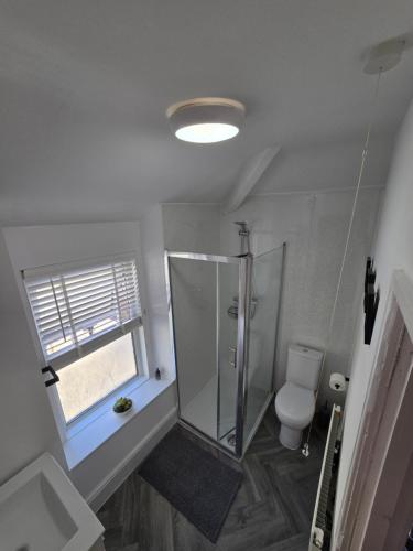 un baño con ducha y WC en Seasalt Apartment, en Barmouth