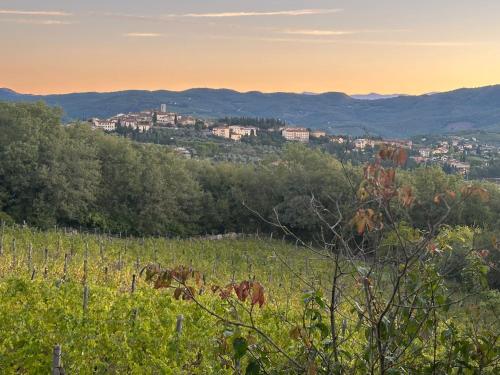 a view of a city from a field with trees at Agriturismo Malpensata in Radda in Chianti