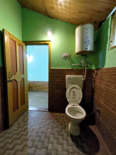 bagno con servizi igienici in una camera con pareti verdi di Lee Garden Himalayan Wooden Cottages a Kasol