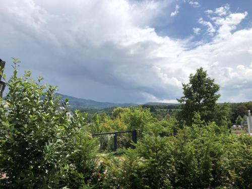 a view of the hills from a garden with trees at Ferienwohnung Bäumchenblick in Müllheim