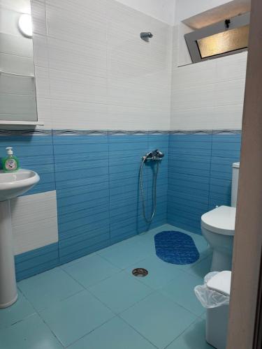 a blue and white bathroom with a shower and a toilet at Emy's Rooms in Himare
