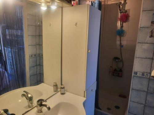 une salle de bain avec un lavabo et une douche dans l'établissement Port, à Narbonne-Plage