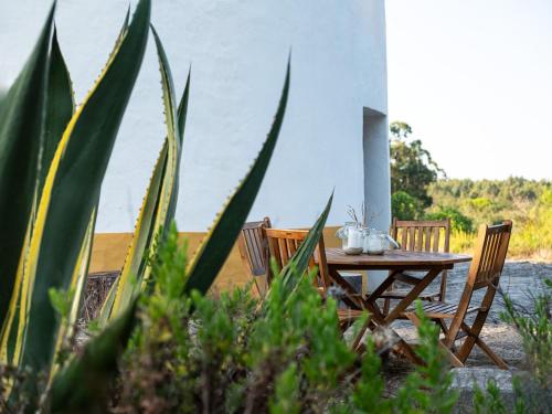 Delightful forest windmill, 10 min away from the beach