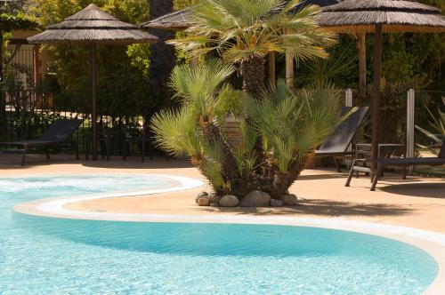 a pool with palm trees and chairs and umbrellas at Le Cottage - Hotel & Spa in Argelès-sur-Mer