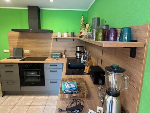 a kitchen with green walls and a counter with a blender at Noa-Lee in Strehlow