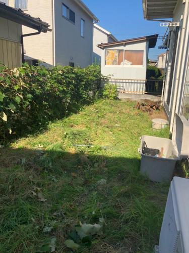 a cat sitting in a box in a yard at 日本家庭風一軒家 いずみ in Sendai