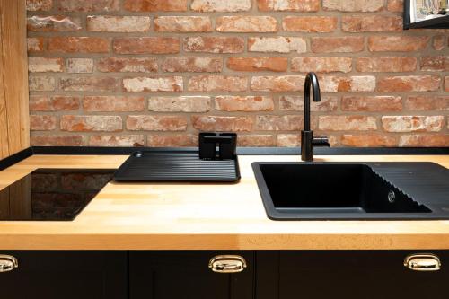 Kuchyň nebo kuchyňský kout v ubytování Vila Ferdinand - Apartament Iarina