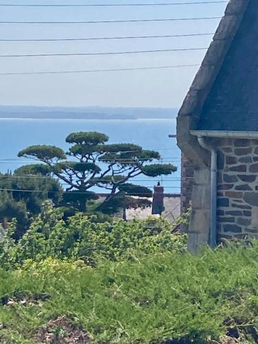 a tree sitting on the side of a house at Le Belvédère - 12 min à pied de la plage in Pléneuf-Val-André