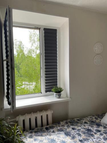 a window with a potted plant on a window sill at Skolas 1 in Salaspils