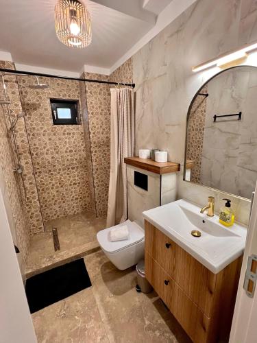 a bathroom with a sink and a toilet and a shower at MK Apart Boutique 2 in Voluntari