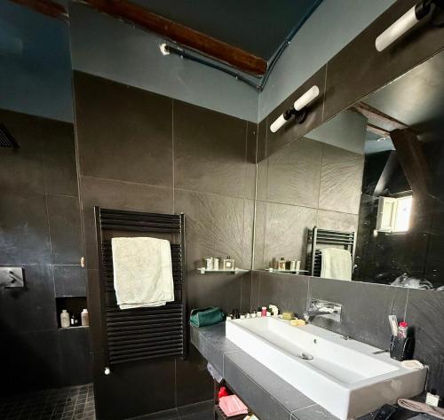 une salle de bain avec un lavabo et un grand miroir dans l'établissement Spacieux et élégant appart Paris, à Paris