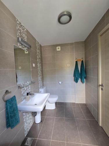 a bathroom with a sink and a toilet at The Seaside Gem in Donji Morinj